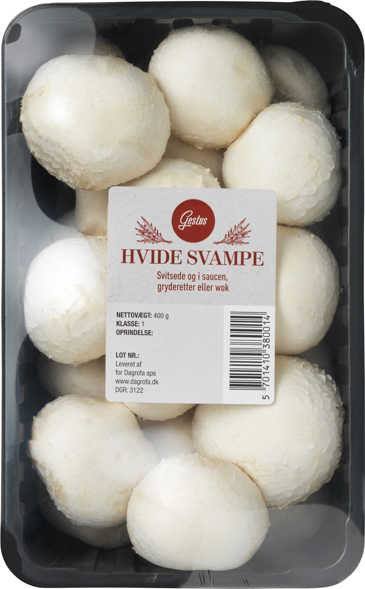 Svampe Champignon