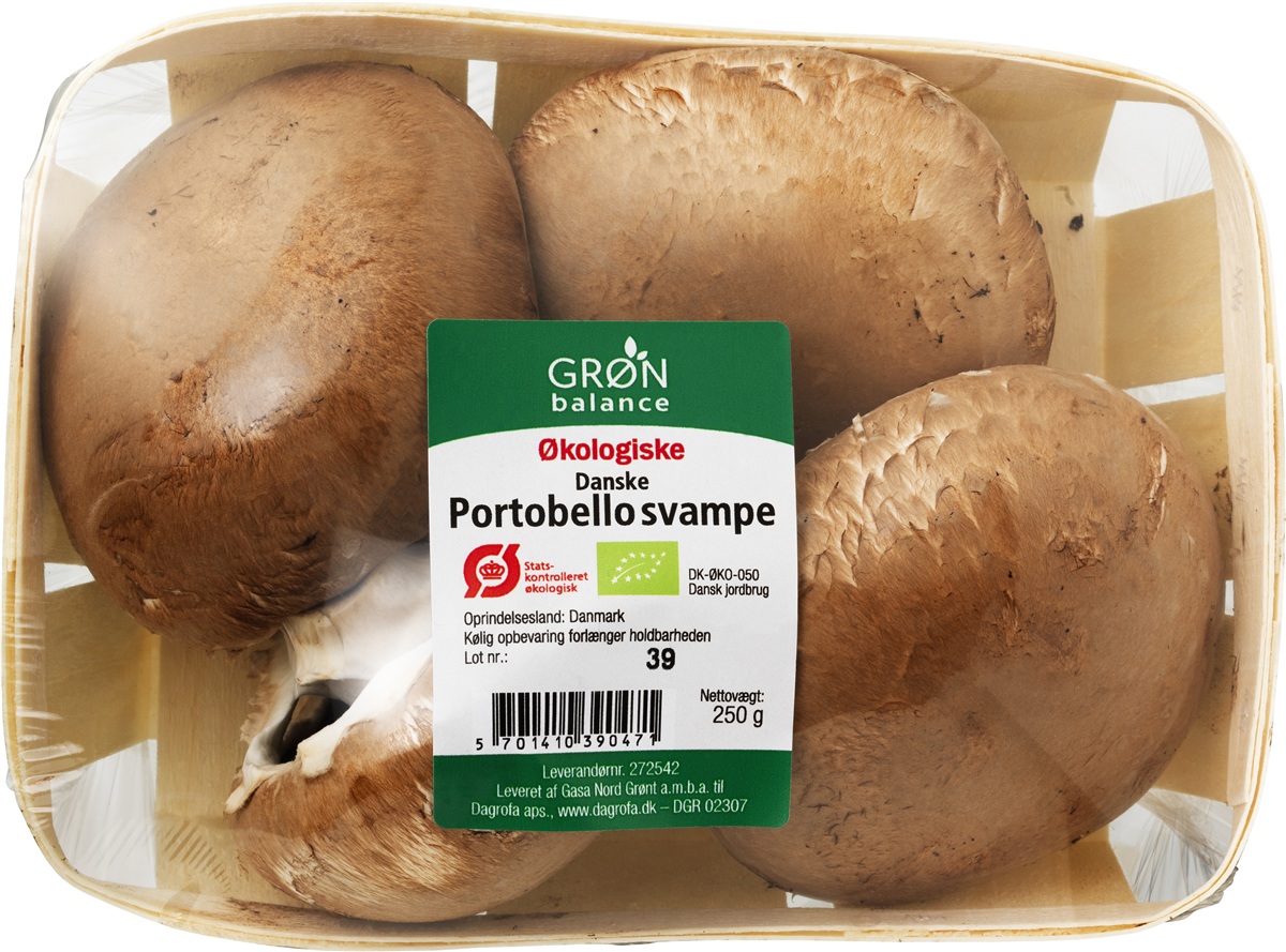 Portobello Svampe