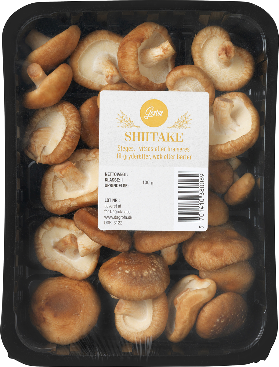 Shiitake Svampe