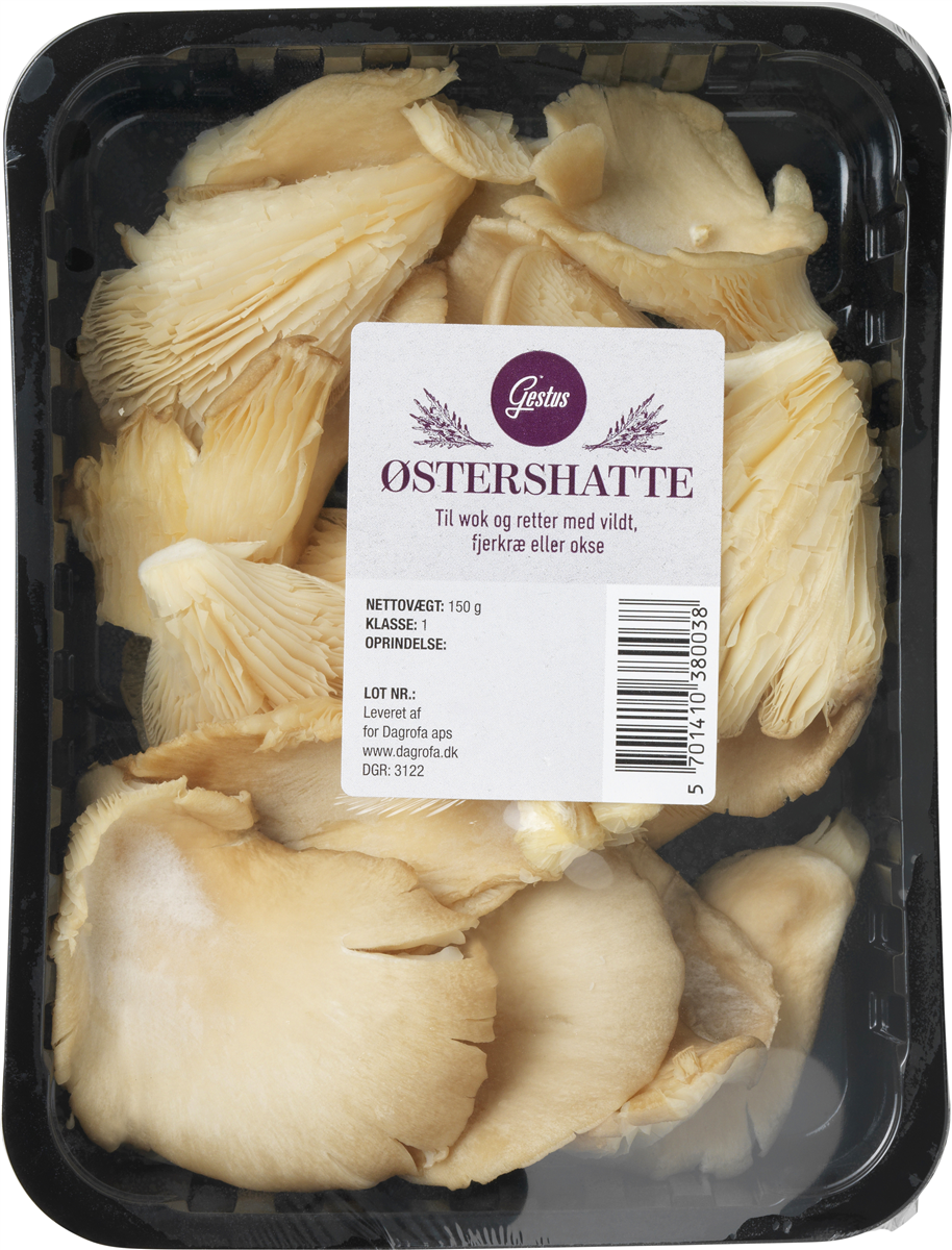Østershatte
