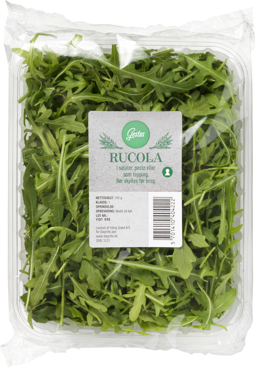 Rucola Salat