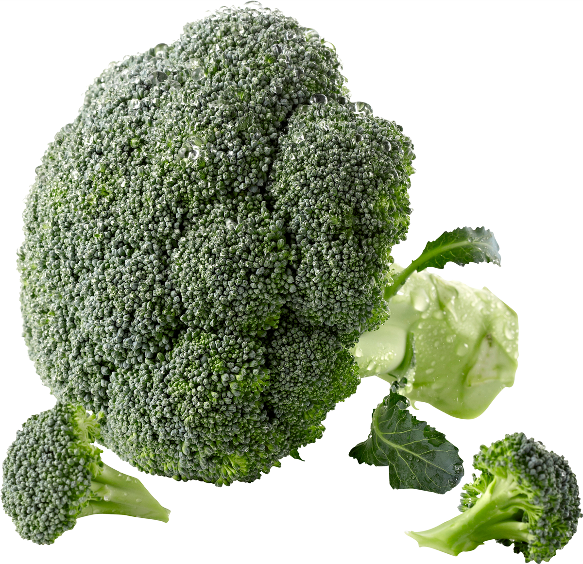 Broccoli