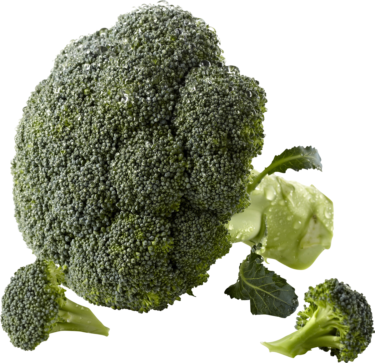 Broccoli
