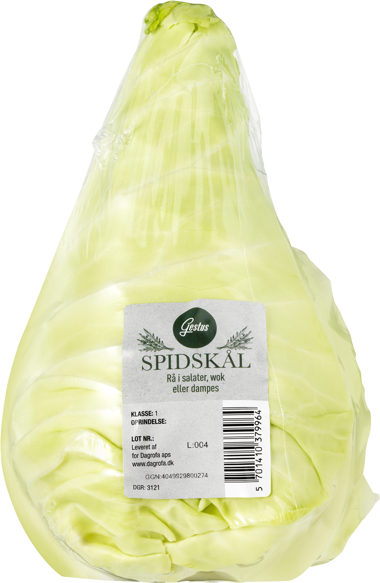 Spidskål