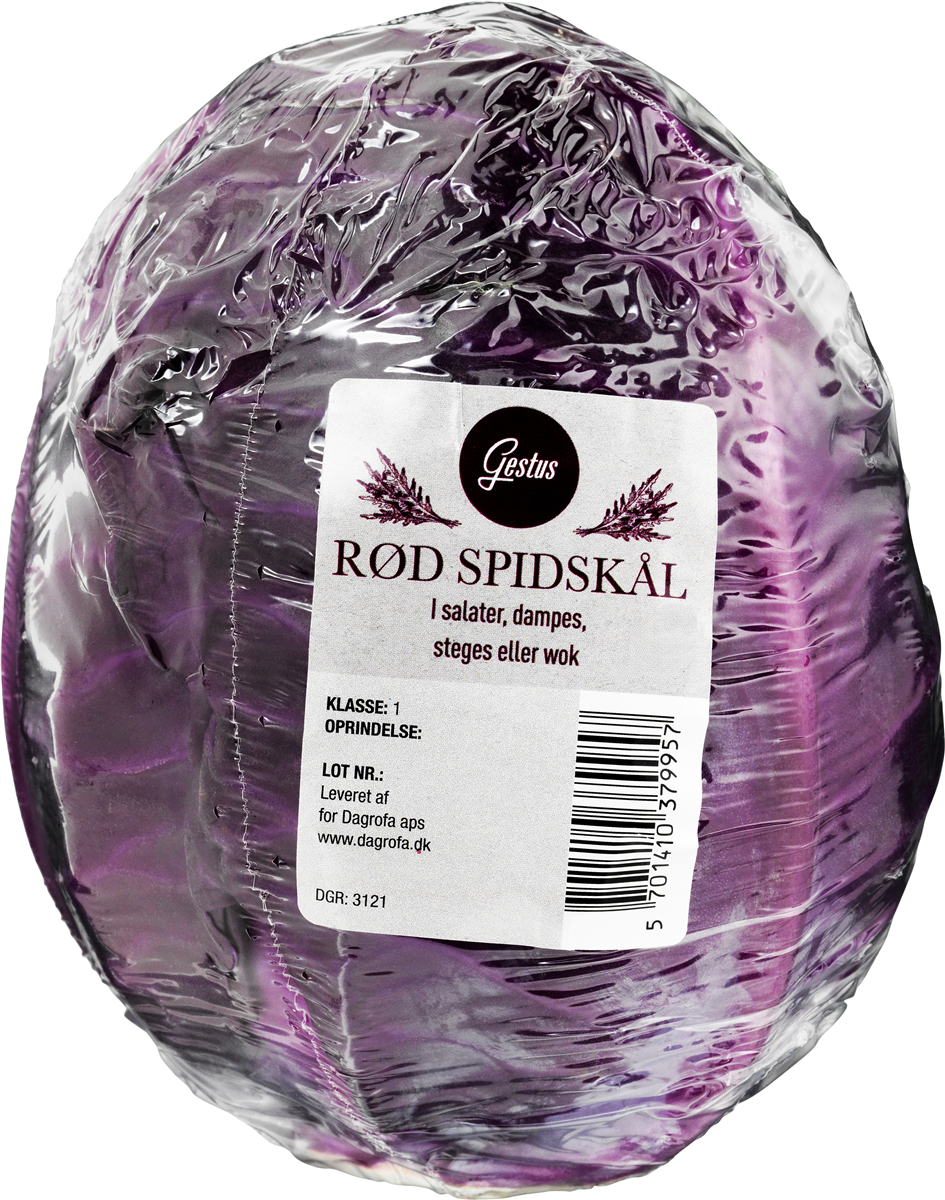 Spidskål Røde