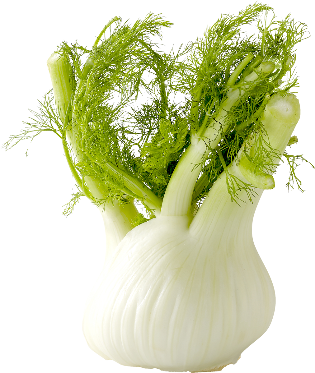 K&K Økologisk Fennikel