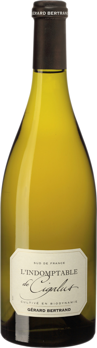 Cigalus White 19 14,5% øk 750 ml