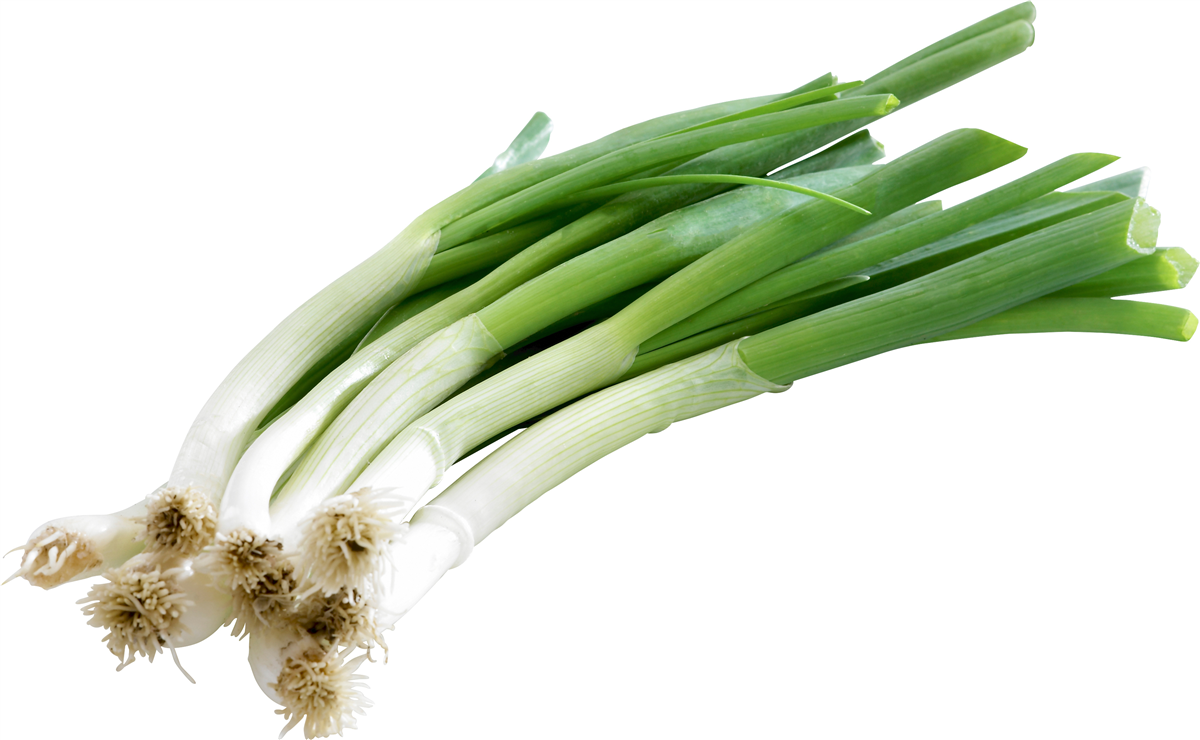Springløg