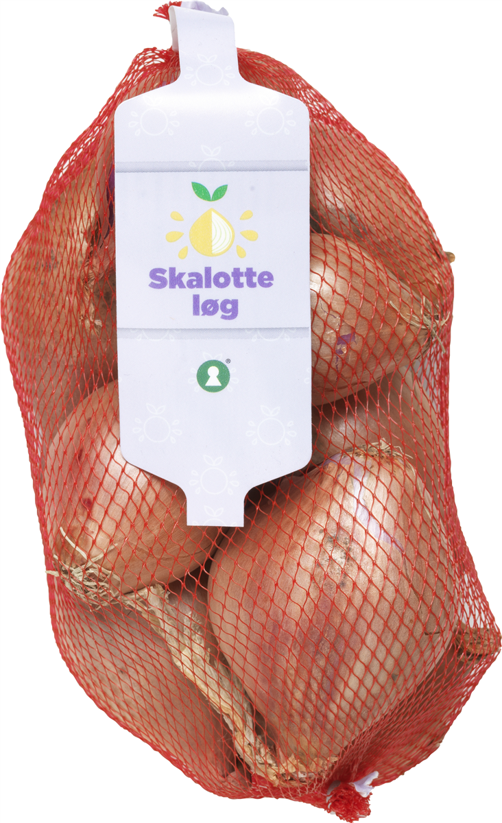 Skalotteløg