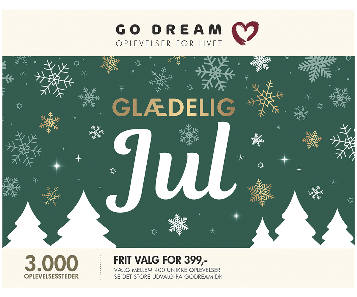 Oplevelsesgav glædelig jul