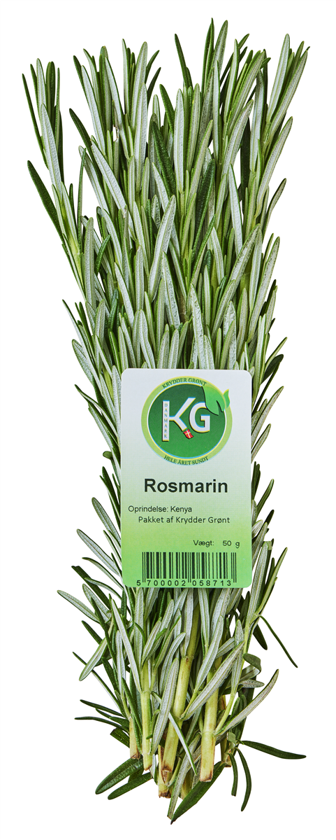 Rosmarin Afskåret