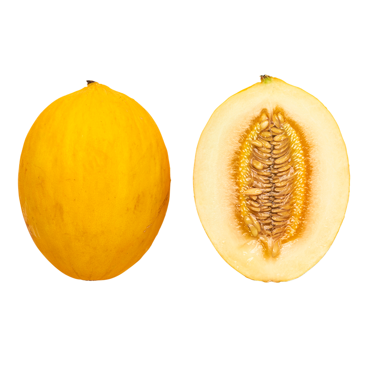 Øko-melon honning (Aa)