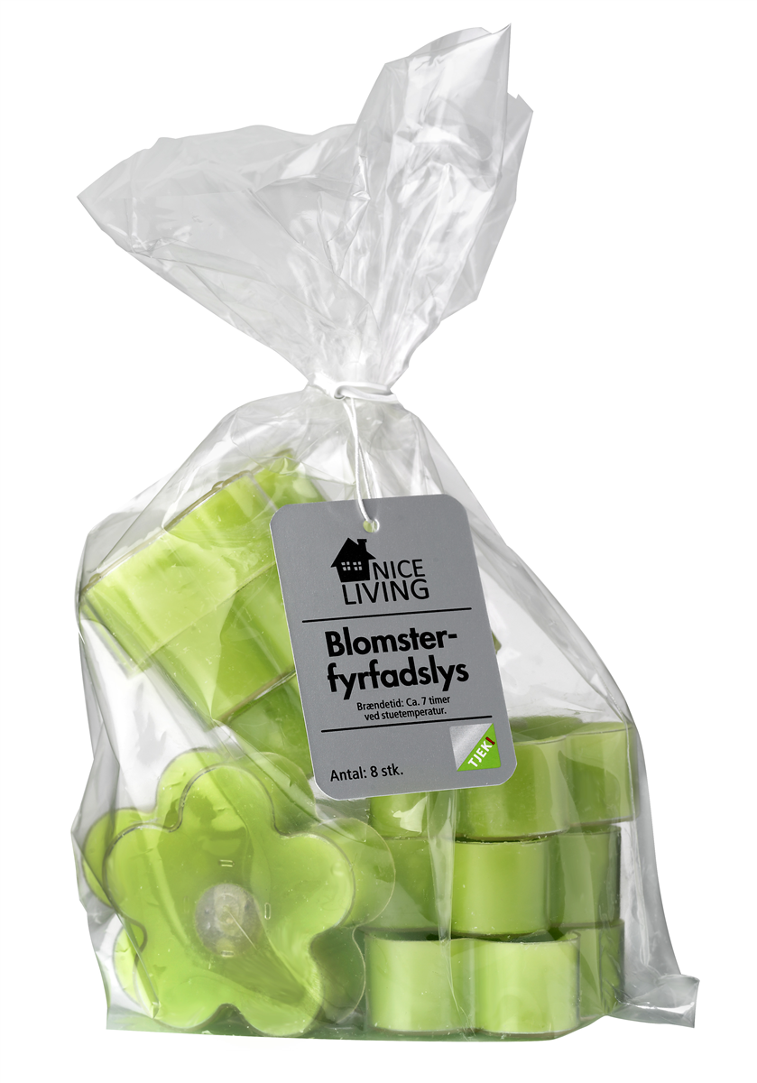 Fyrfadslys blomst, lime