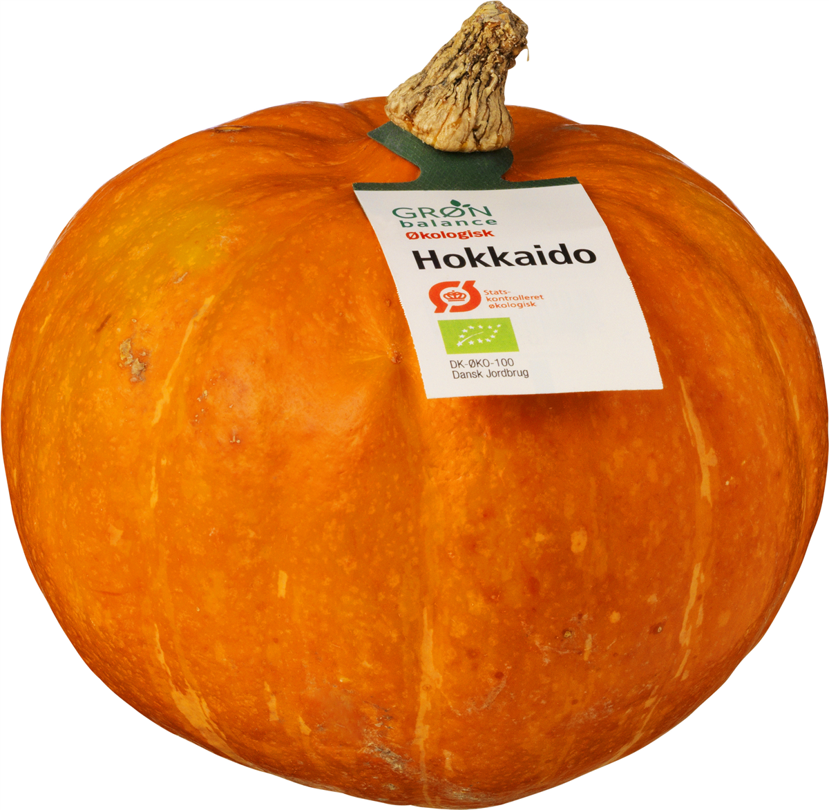 Hokkaido Græskar Øko