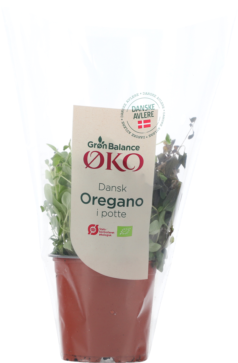 Øko-Oregano