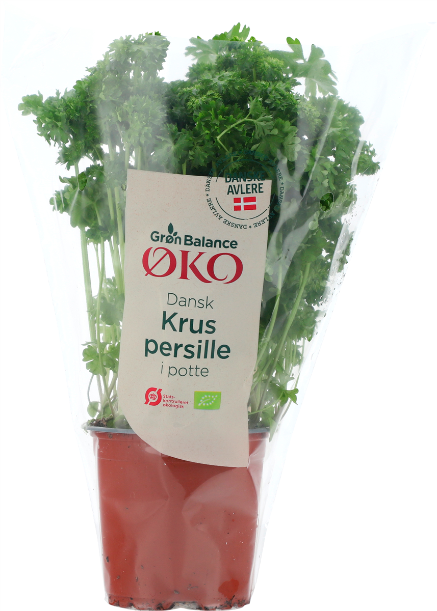 Øko-Persille