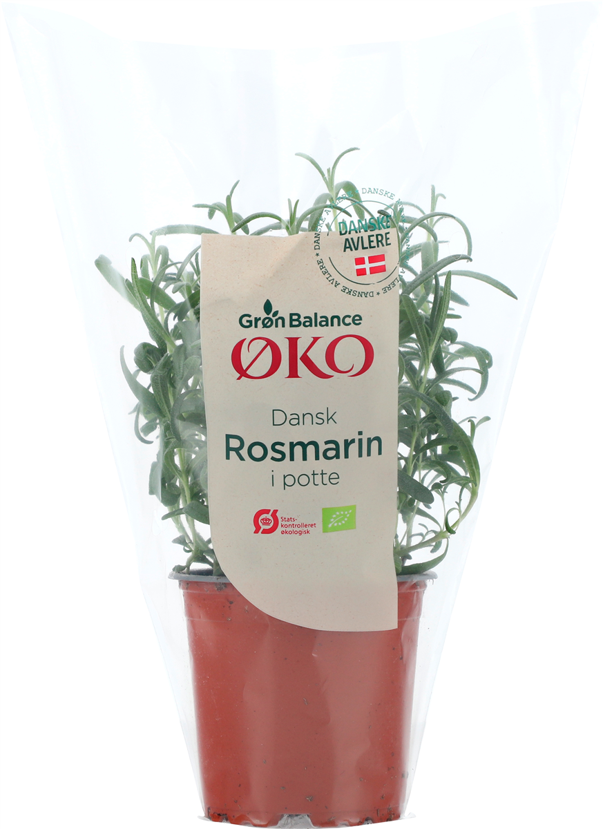 Øko-Rosmarin