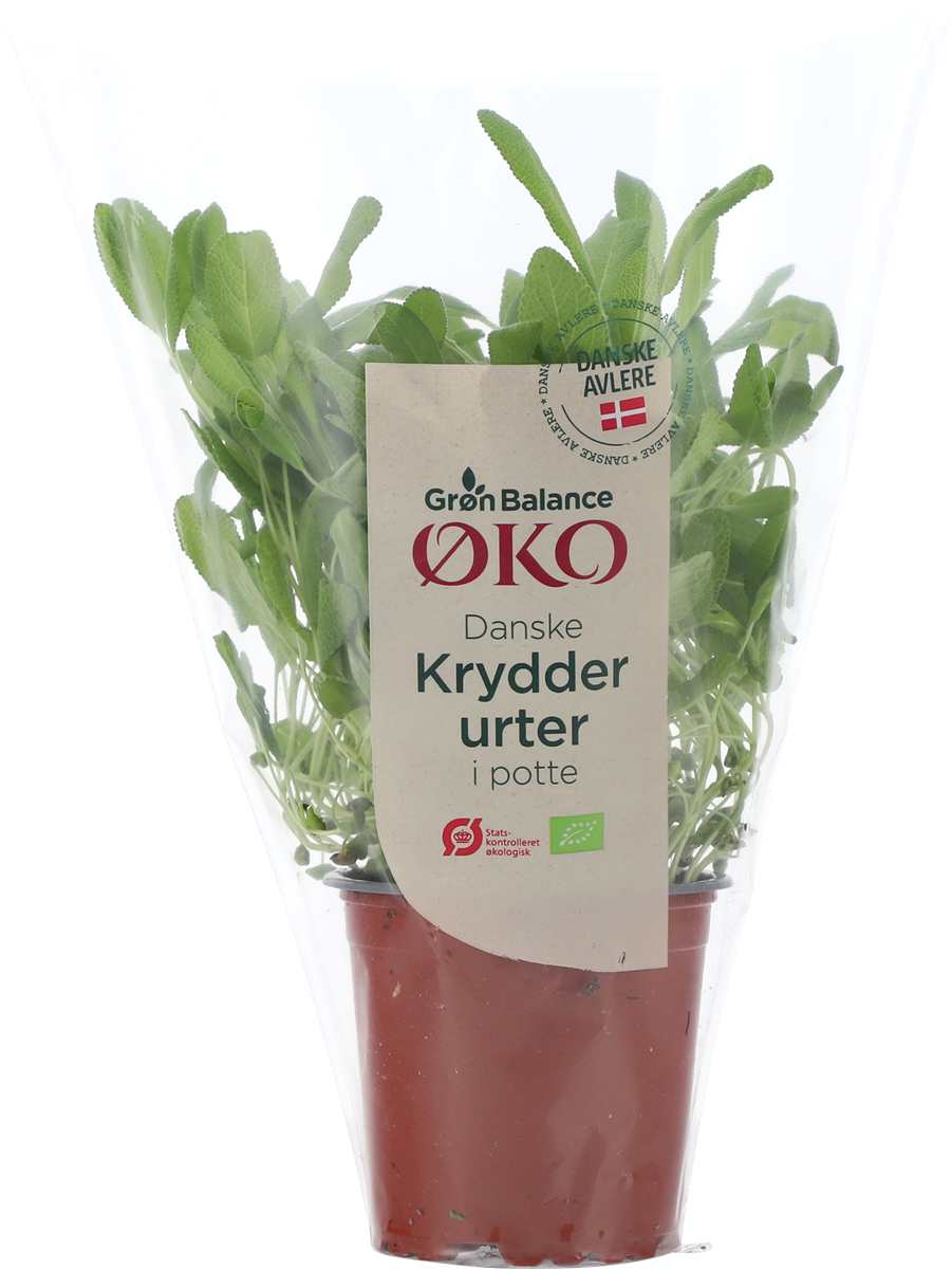 Øko-Salvie