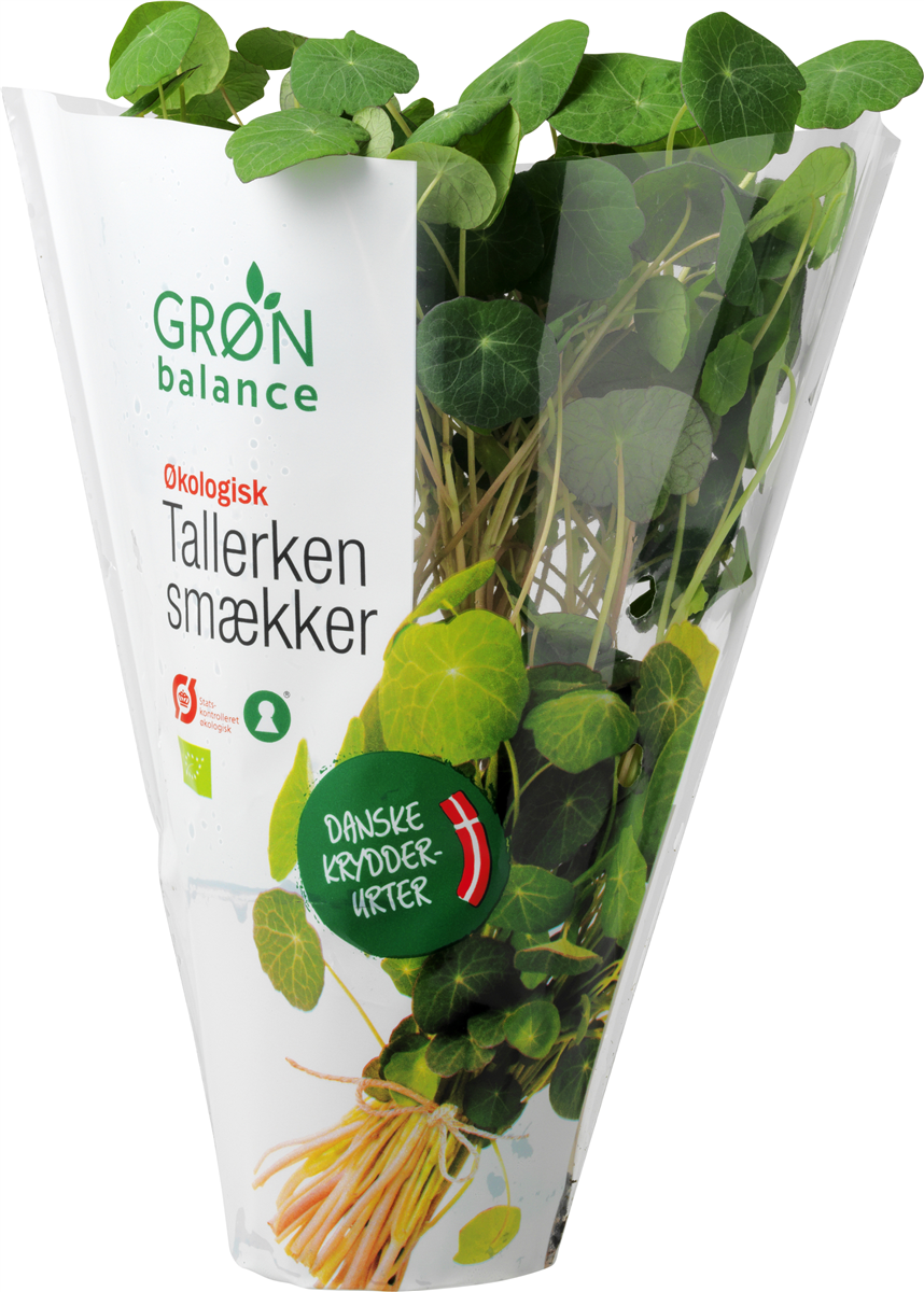 Øko-tallerkensmækker (GB)