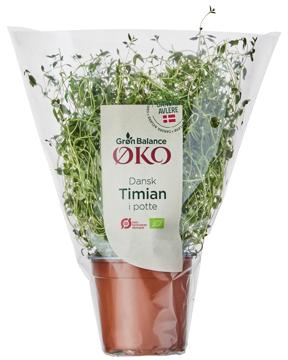 Øko-Timian