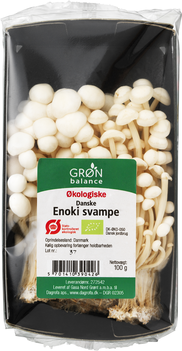 Øko-Svampe Enoki