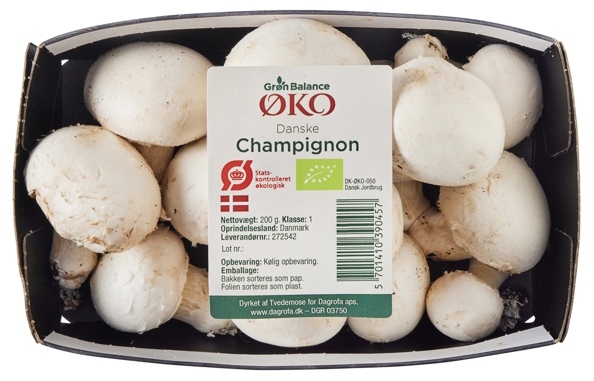 Øko Champignon