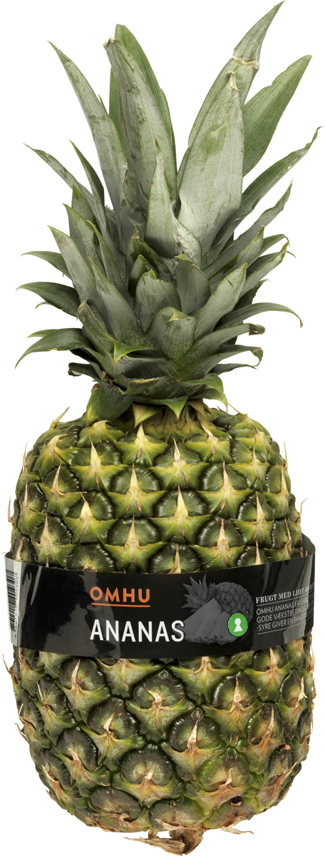 Ananas Klasse 1