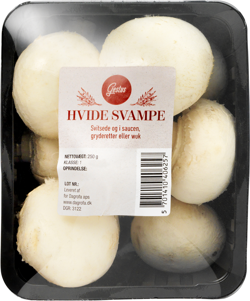 Gestus Champignon hvide