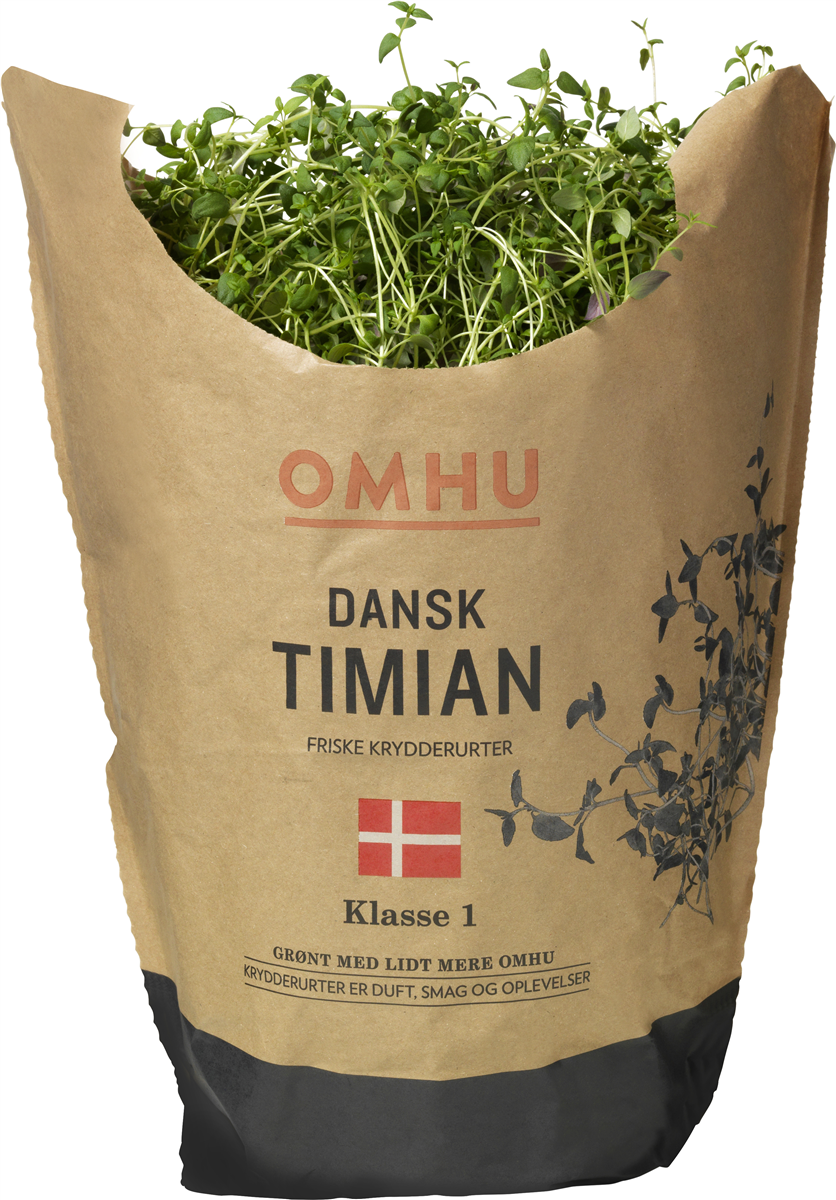 Omhu Stor Timian