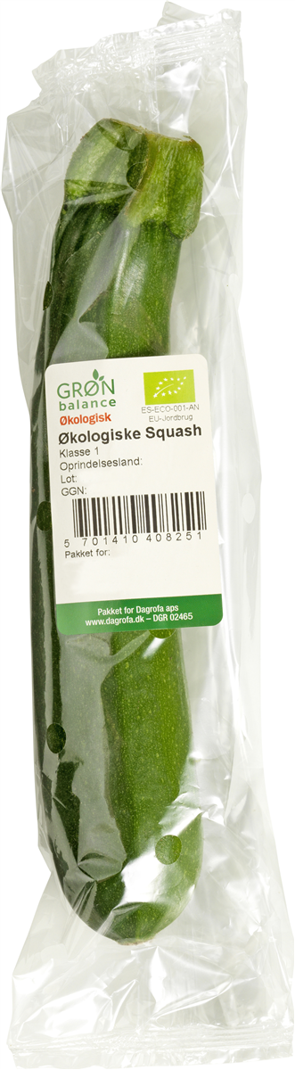 Økologisk Squash/Courgette 1 stk