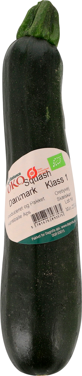 Squash Økologisk