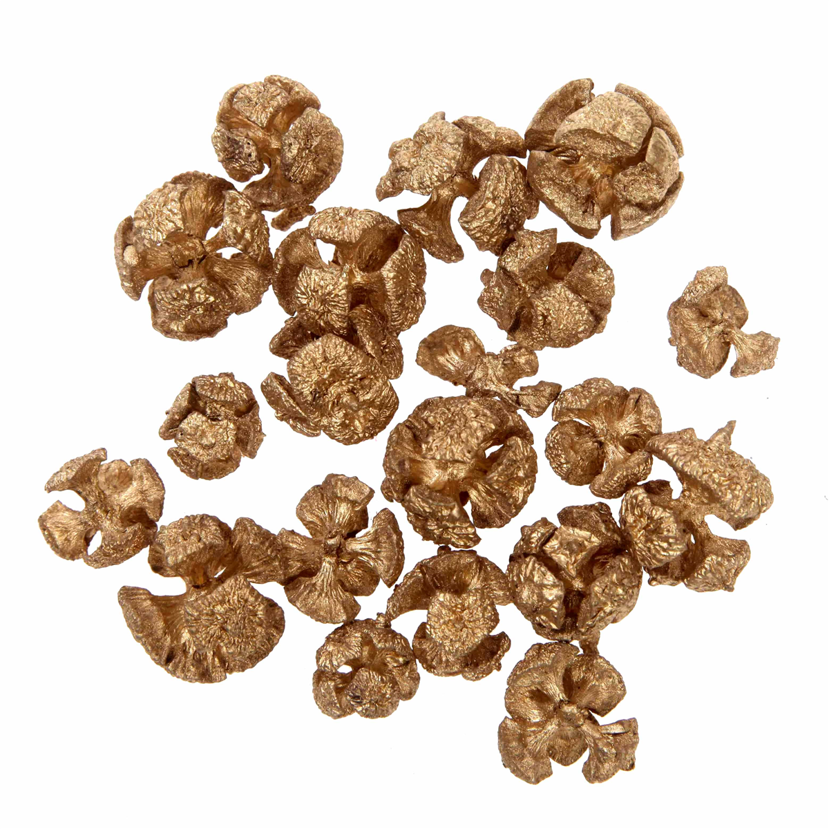 Deko bøg kapsler guld 25 g 25 g