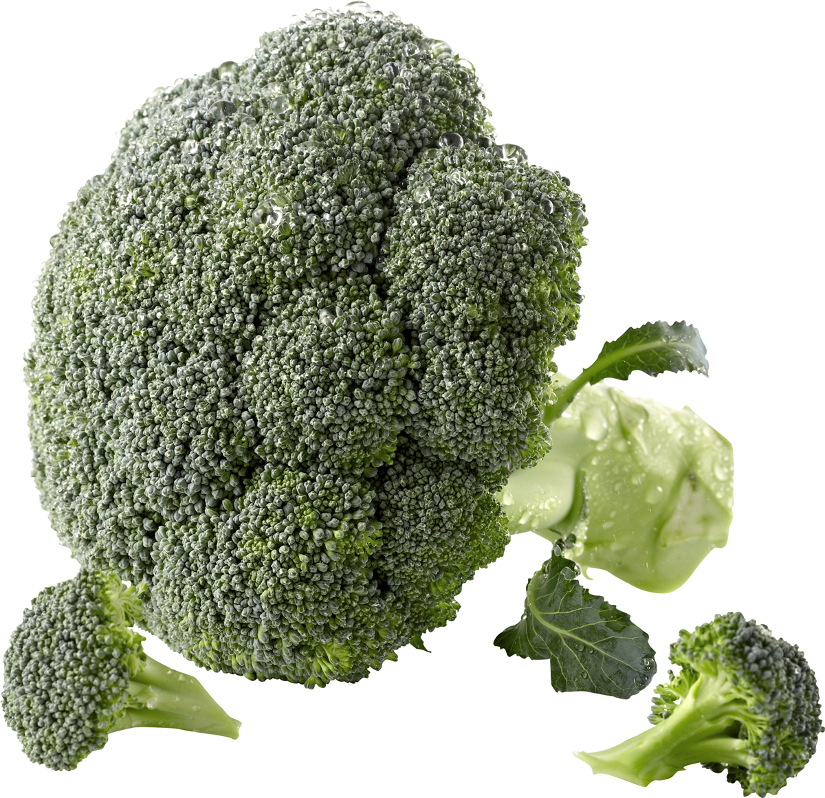 Broccoli 12 x 400 gr DK 400 g