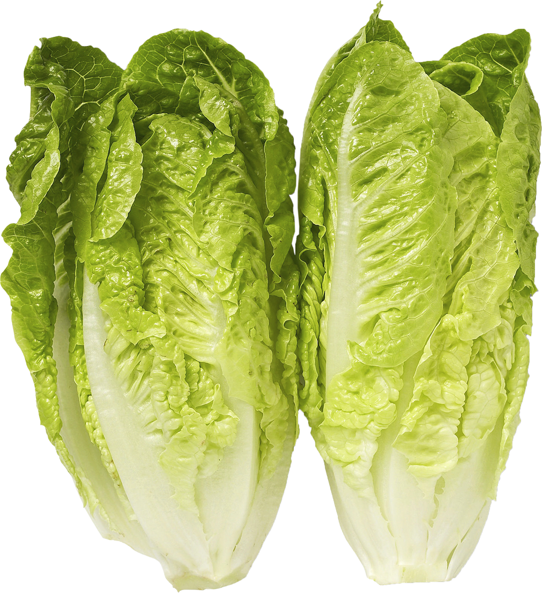 Økologisk salat hjerte