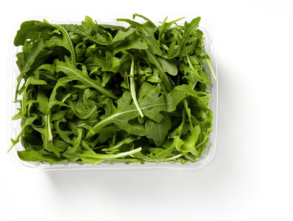 Øko-Salat Rucola