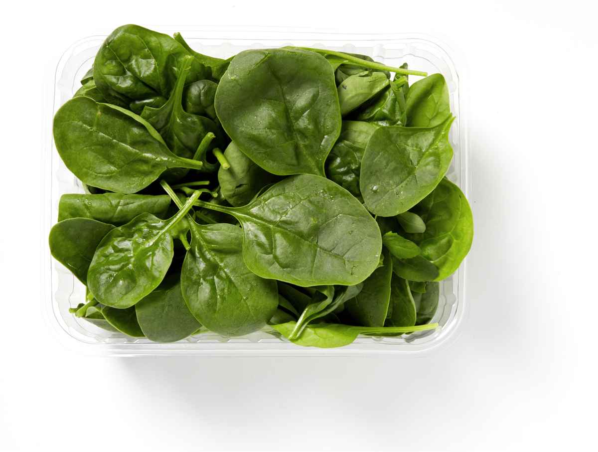 Øko-Salat Baby Spinat
