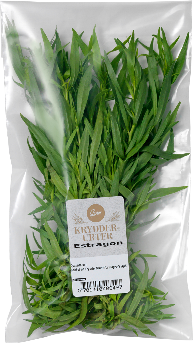 Estragon