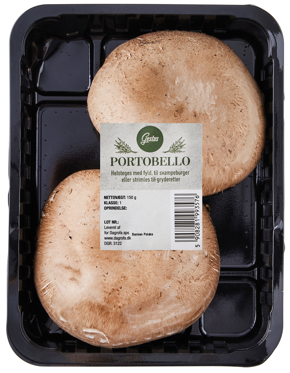 Svampe Portobello Brun