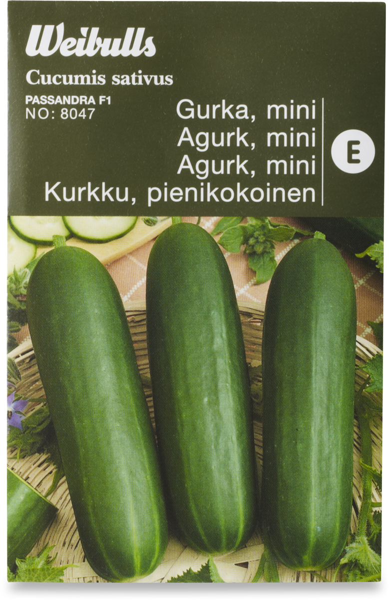 Agurk mini rawa fi