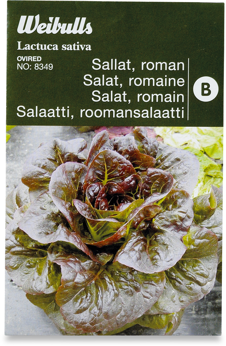 WW FRØ, SALAT ROMAN, 1 ST / Sverige