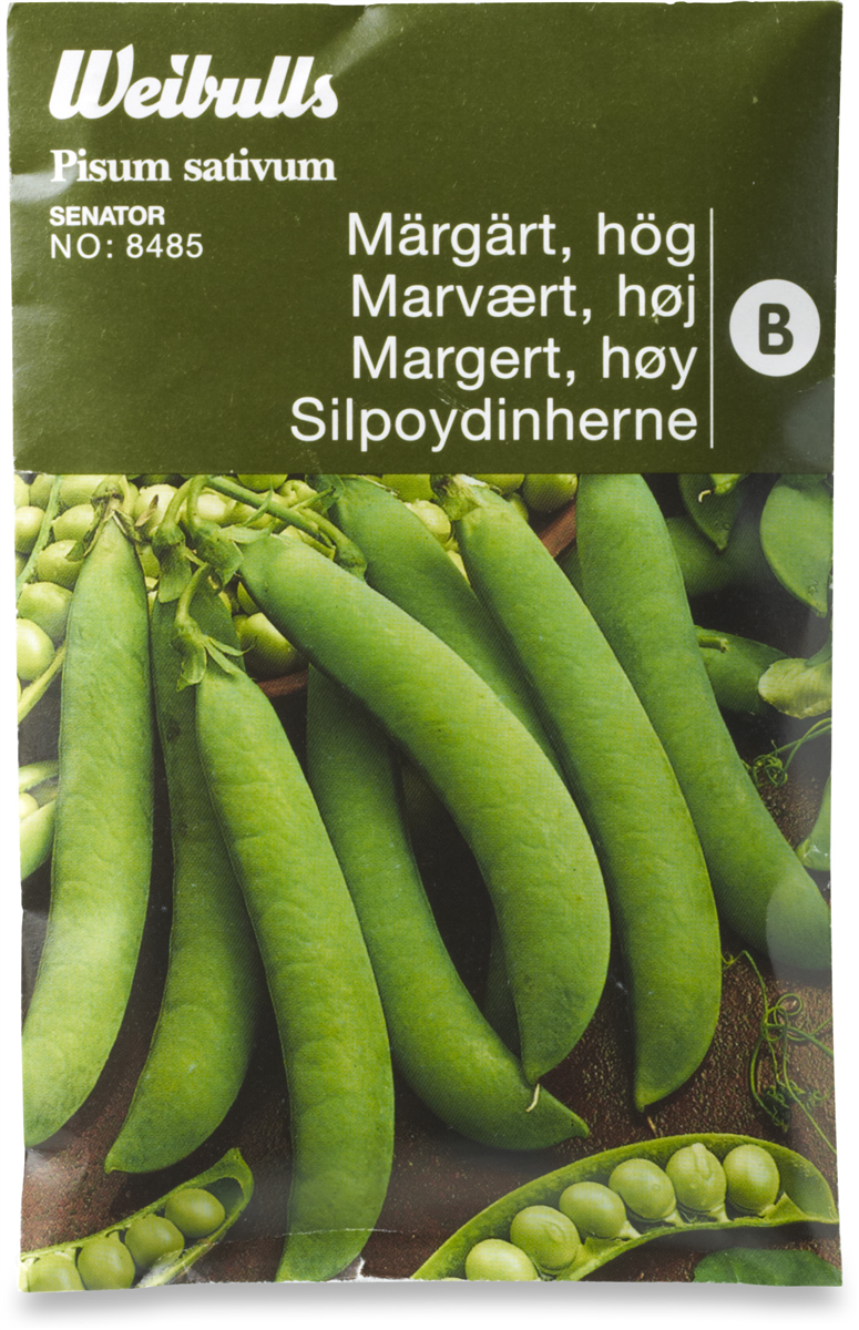 MARVÆRT SENATOR LAV, 1 ST / Sverige