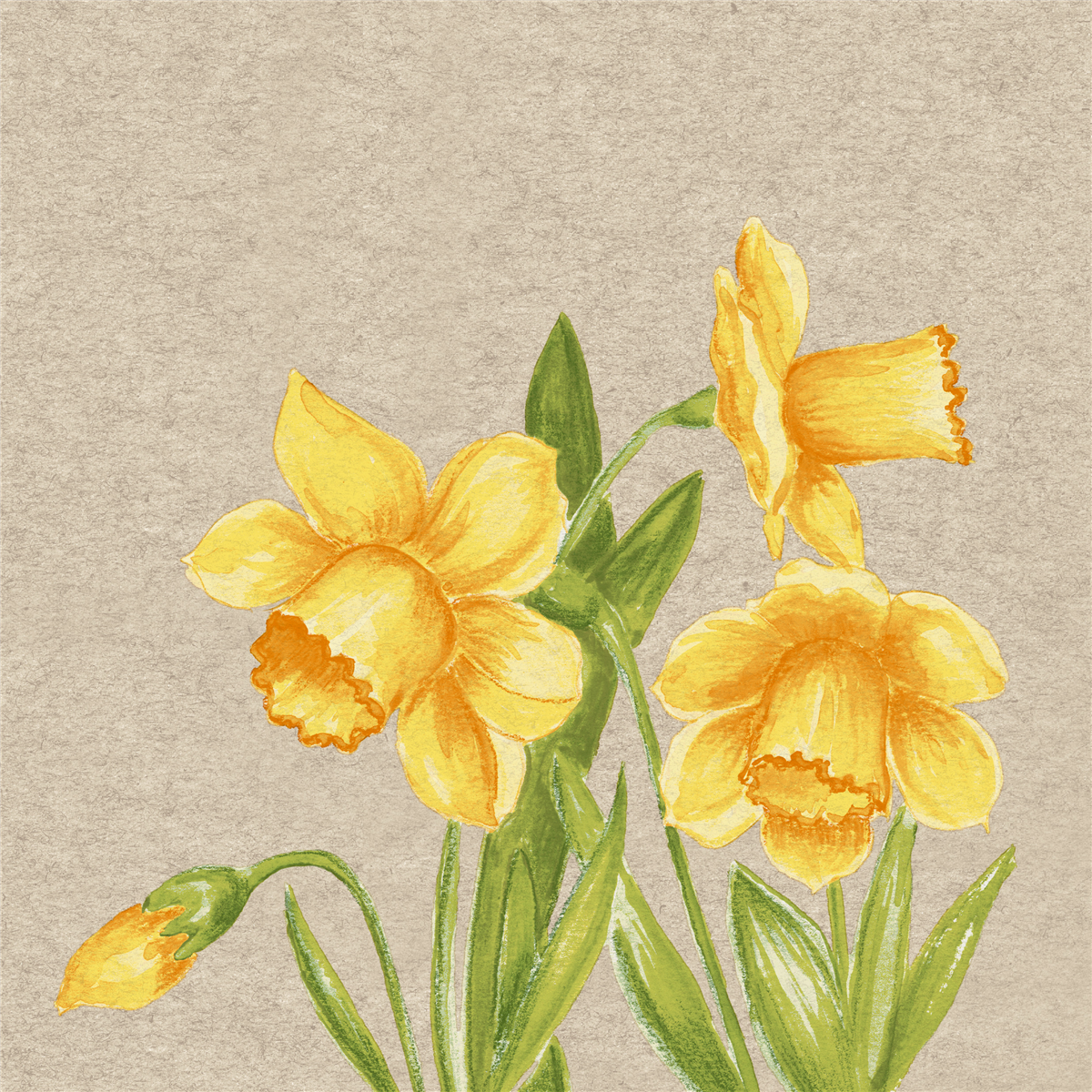Servietter Daffodil
