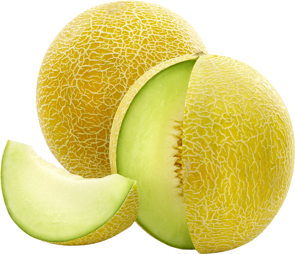 Galia Melon