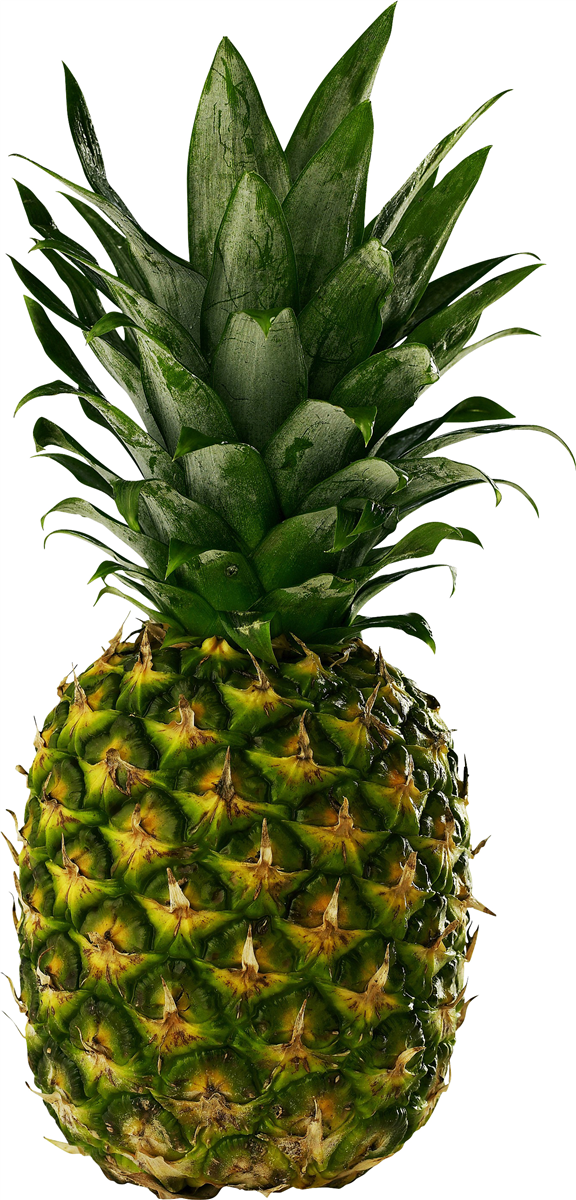 Ananas Store