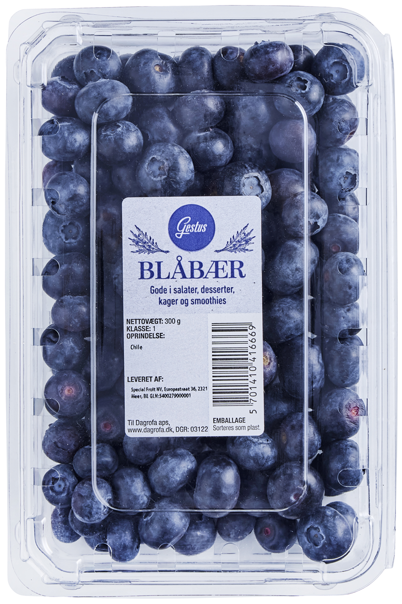 Blåbær