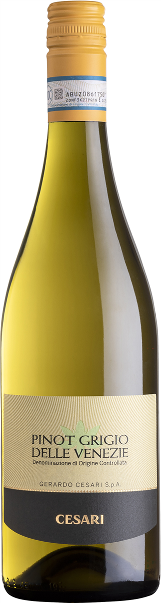 Cesari Pinot Grigio