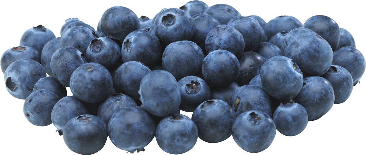 Blåbær 125 g