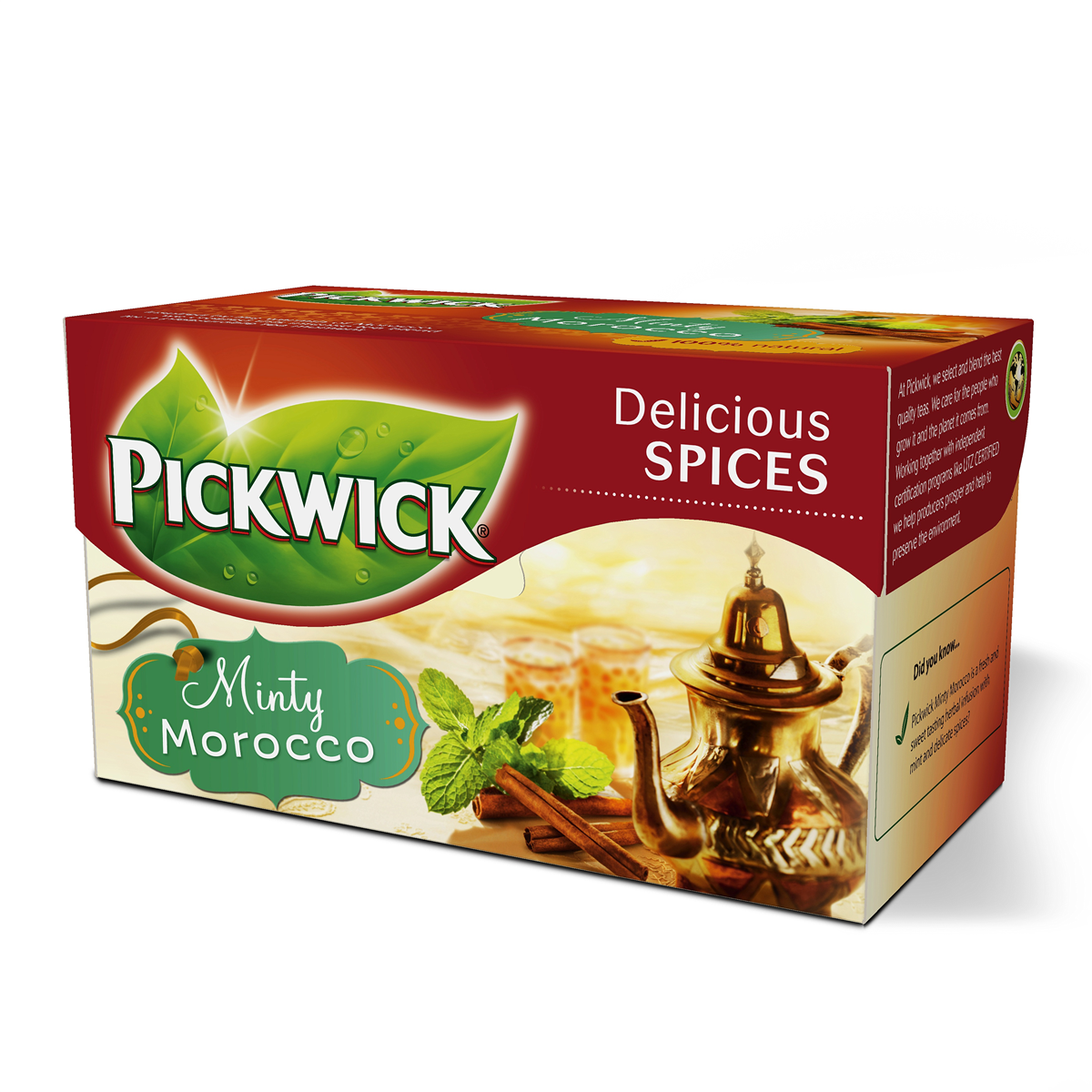 Pickwick Minty Morocco
