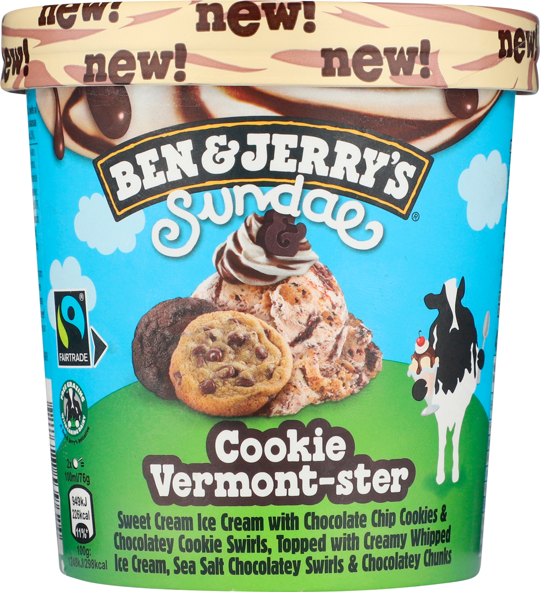 Ben & Jerry's Cookie Vermont Storm