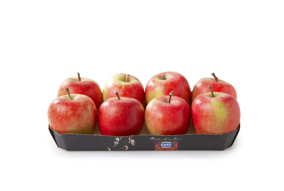 Kanzi Æbler